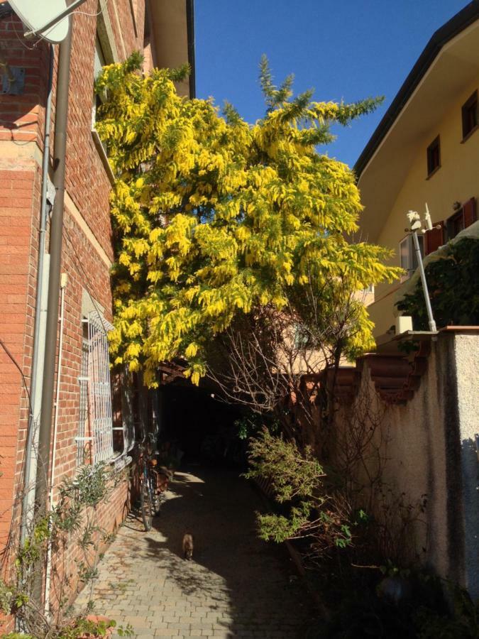 Casa Mimosa Apartman Viareggio Kültér fotó